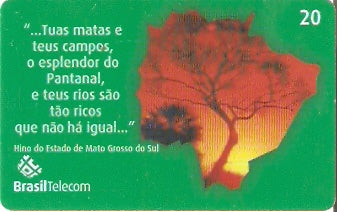 MS-303 - Aniversário do MS