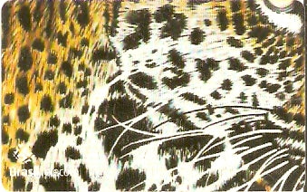 MS-347 - Onça Pintada - 3/4