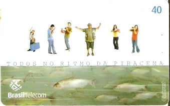 MS-370 - Piracema - 01/11