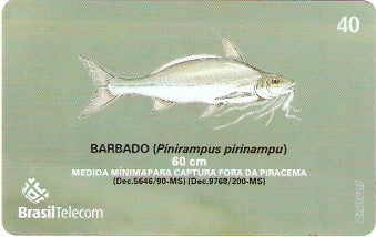 MS-371 - Piracema - 02/11