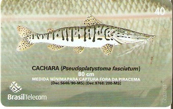 MS-372 - Piracema - 03/11