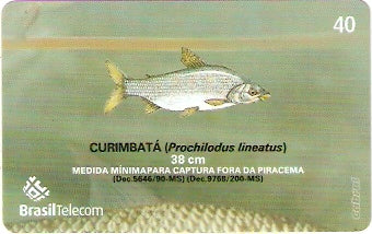 MS-373 - Piracema - 04/11