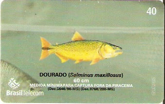 MS-374 - Piracema - 05/11