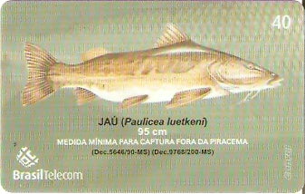 MS-375 - Piracema - 06/11