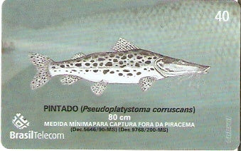 MS-378 - Piracema - 09/11