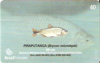 MS-380 - Piracema - 11/11