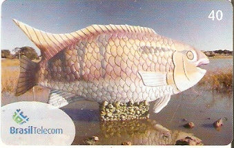 MS-409 - Campo Grande - 106 anos