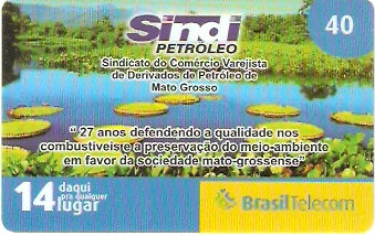 MT07-01 - Ciranda de Ações