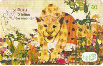 MTC06-07 - Bichos do Brasil - 2/3
