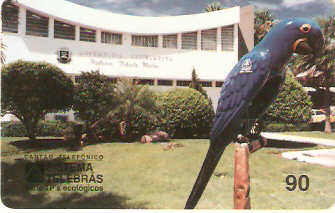 MT-003 - Arara Azul