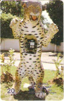 MT-008 - Onça Pintada