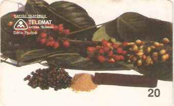 MT-041 - Guaranazeiro