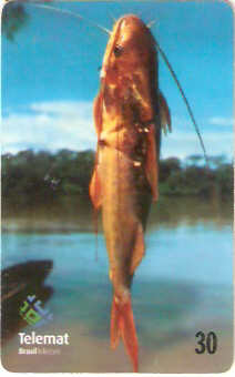 MT-139 - Telecartofilia - 11/12