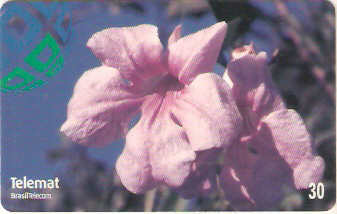 MT-167 - Flores - 01/10