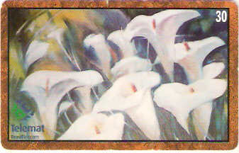 MT-267 - Daguimar - 5/6