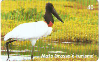 MT-464 - Turismo - 6/8