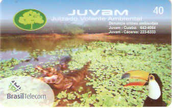 MT-557 - JUVAM