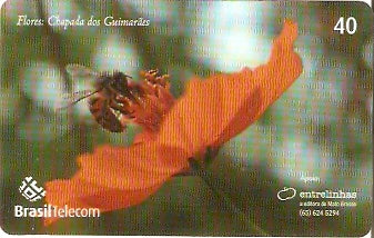 MT-558 - Flores - 1/6