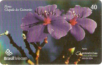 MT-561 - Flores - 4/6