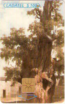 MXIN-26T2D - Arte das Academias - 2