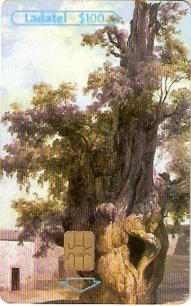 MXIN-26T2E - Arte das Academias - 2