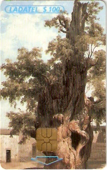 MXIN-26T2B - Arte das Academias - 2