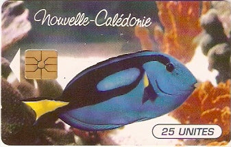 NCL-036 - Peixe