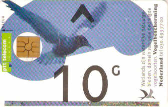NET-CG11-1 -  Passarinho