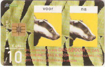 NET-CG22-1 -  Texugo