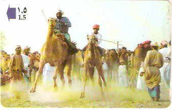 OMN-033Q - Corrida de Camelos
