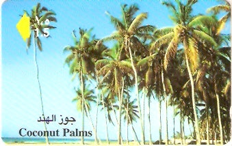 OMN-043B - Palmeiras