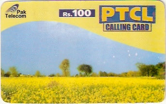 PAK-PRPT05 - Campo