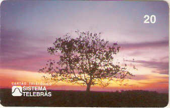 PA-031 - Anoitecer Marajoara