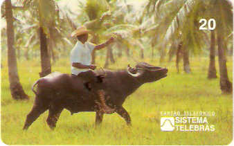 PA-032 - Caboclo e Búfalo