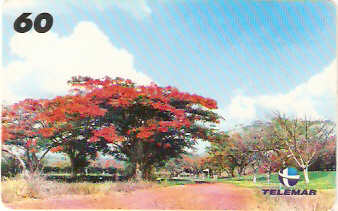 PA-265 - Paisagem Rural