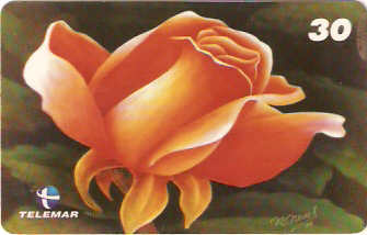 PA-331 - Risaldo Neves - 8/9