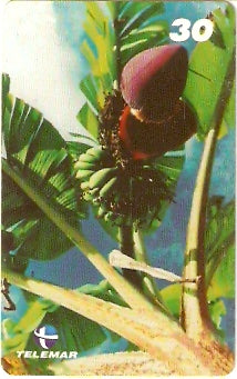 PA-469 - Frutas - 04/12