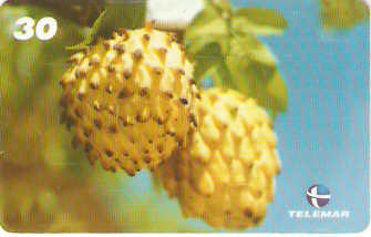 PA-470 - Frutas - 05/12