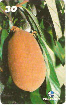 PA-473 - Frutas - 08/12