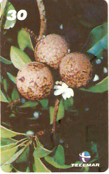 PA-476 - Frutas - 11/12