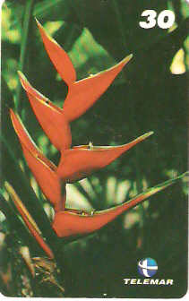 PA-479 - Flores - 2/9