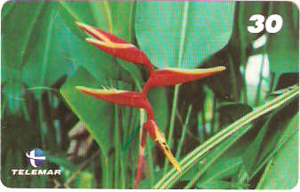 PA-484 - Flores - 7/9