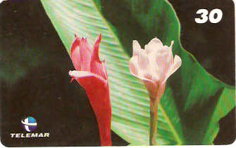 PA-485 - Flores - 8/9