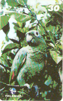 PA-488 - Aves - 1 - 2/6