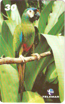 PA-491 - Aves - 1 - 5/6