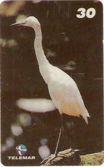 PA-493 - Aves - 2 - 1/5