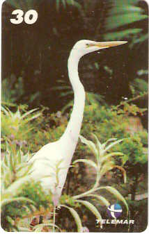 PA-494 - Aves - 2 - 2/5