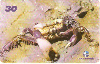 PA-509 - Caranguejo