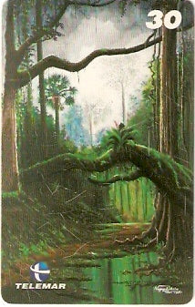 PA-513 - A Bromélia