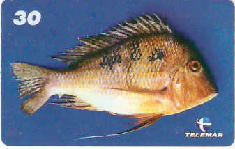 PA-547 - Peixes - 2/7